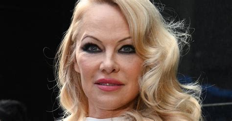 pamela anderson silicone|Pamela Andersons plastic surgery rundown & nip。